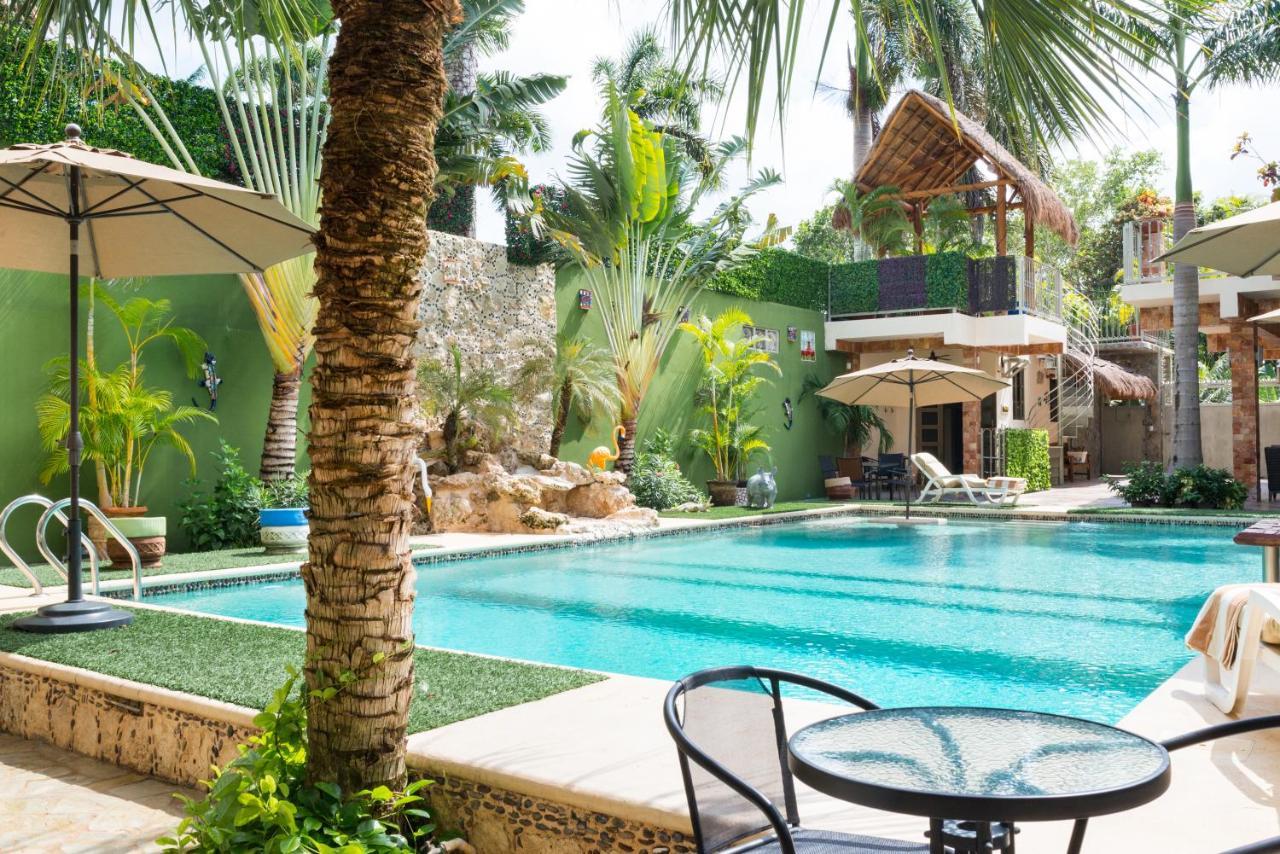Alamos Inn Hotel Con Jacuzzi Y Piscina Cancún Exteriör bild